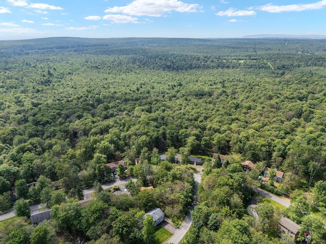 1533 Black Birch Way, Tobyhanna, PA 18466 - aerial view of a heavily wooded area