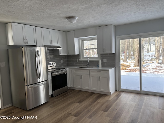 kitchen featuring under cabinet range hood, stainless steel appliances, wood finished floors, a sink, and light countertops