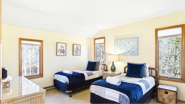 177 Dogwood Ter, Albrightsville, PA 18210 - photo 24