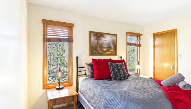 177 Dogwood Ter, Albrightsville, PA 18210 - photo 16