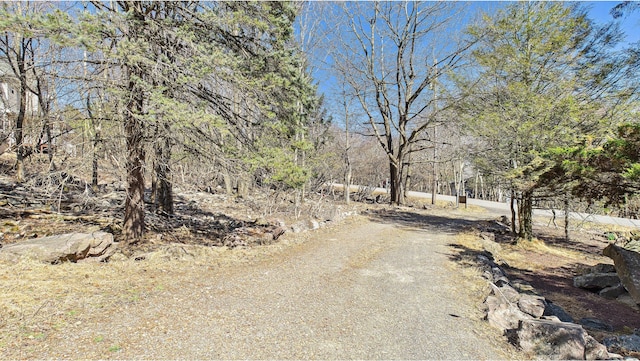 177 Dogwood Ter, Albrightsville, PA 18210 - photo 48