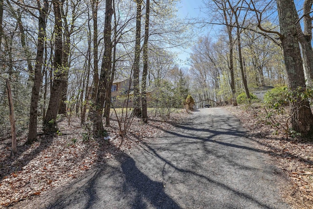 3243 Birch Hill Dr, Tannersville, PA 18372 - photo 31