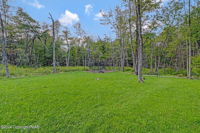 view of yard with a wooded view