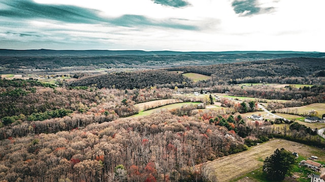 bird's eye view with a forest view