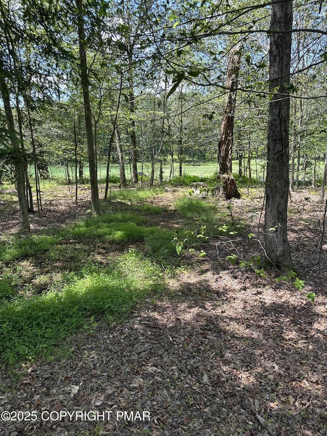 116 Little Fawn Cres, Pocono Pines, PA 18350 - photo 22