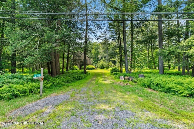 2106 Wagner Forest Dr, Pocono Lake, PA 18347 - photo 6