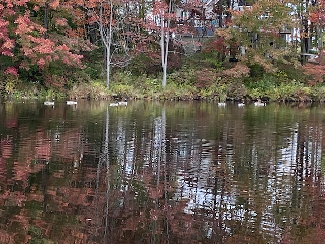 view of water feature