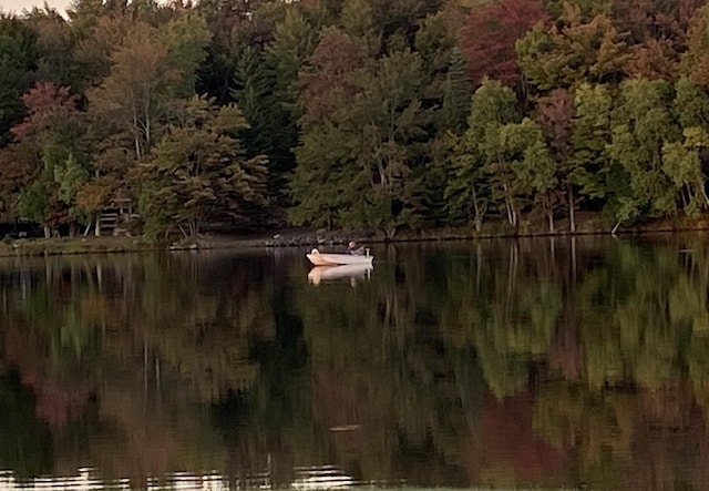 view of water feature with a forest view