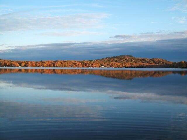 water view featuring a forest view