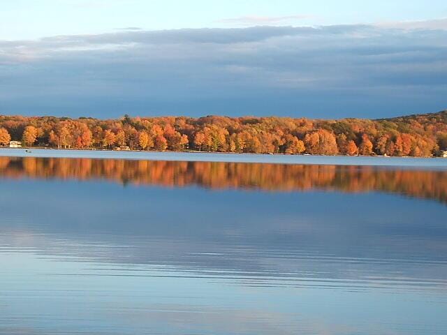 property view of water featuring a wooded view