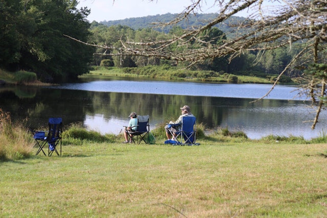 457 Maxatawny Dr, Pocono Lake, PA 18347 - water view featuring a forest