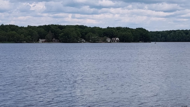 457 Maxatawny Dr, Pocono Lake, PA 18347 - water view featuring a heavily wooded area