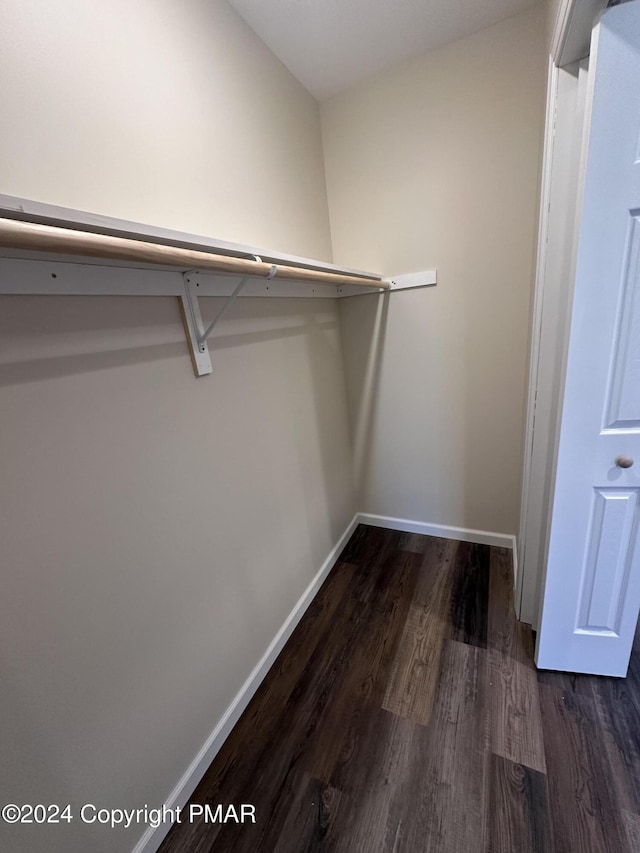 walk in closet featuring dark wood-type flooring