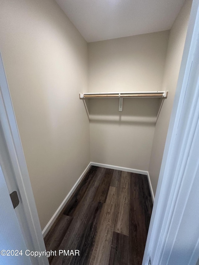 spacious closet with dark wood-type flooring