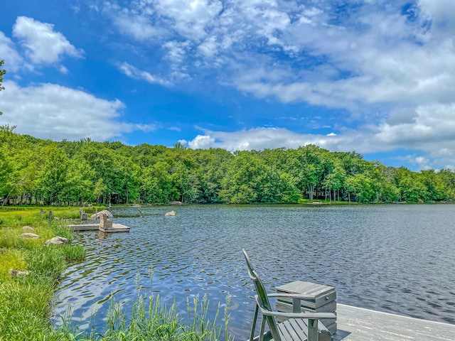 dock area featuring a water view and a wooded view