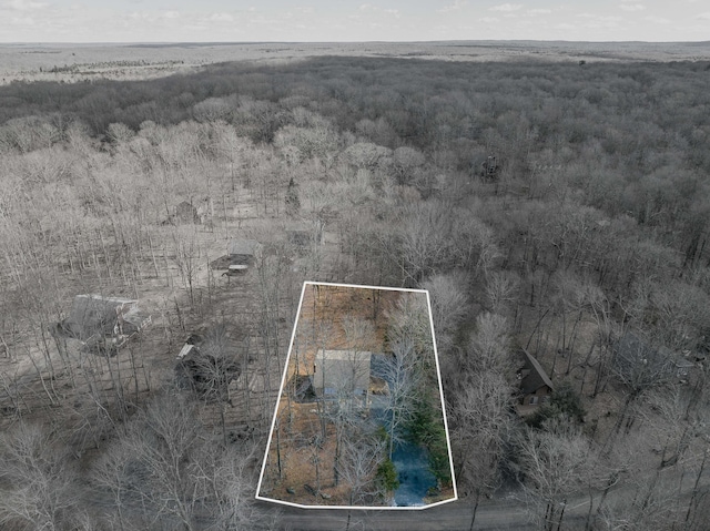 bird's eye view featuring a wooded view