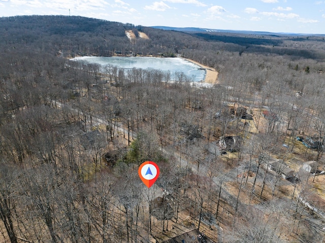 aerial view with a view of trees