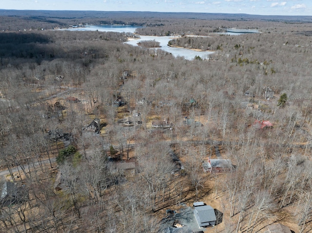 bird's eye view featuring a water view and a wooded view