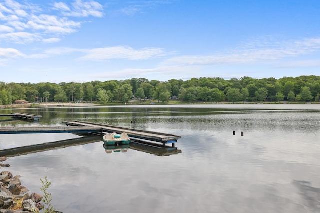 dock area with a water view and a view of trees