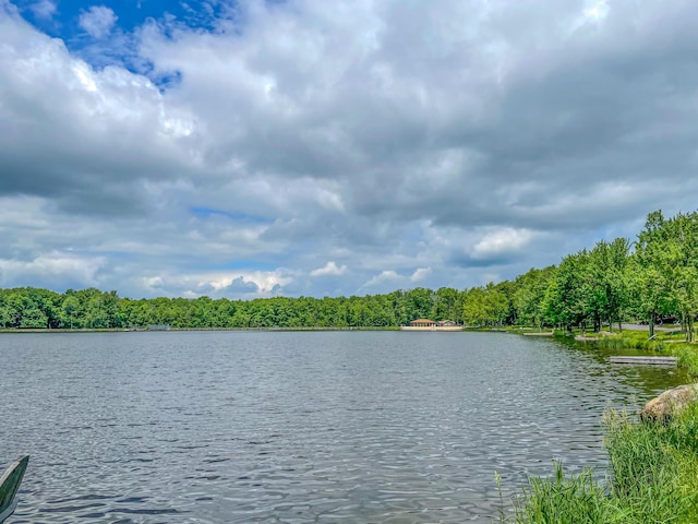 property view of water featuring a view of trees