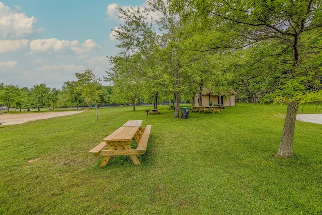 view of community with a yard