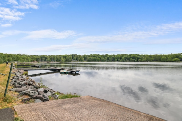 view of dock featuring a water view and a view of trees