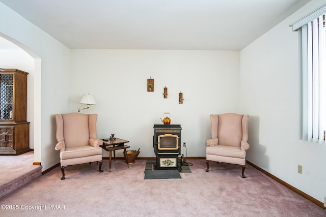 living area with carpet and a wood stove