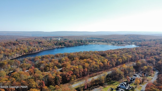 aerial view featuring a water view and a view of trees