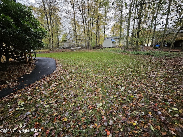 view of yard featuring a storage shed and an outbuilding