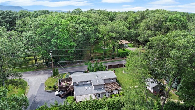 262 Marilou Ln, Bartonsville, PA 18321 - bird's eye view of a forest