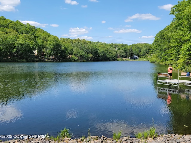 163 Radcliff Rd, Bushkill, PA 18324 - photo 48