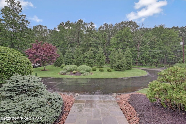 274 Frantz Hill Rd, Scotrun, PA 18355 - photo 9