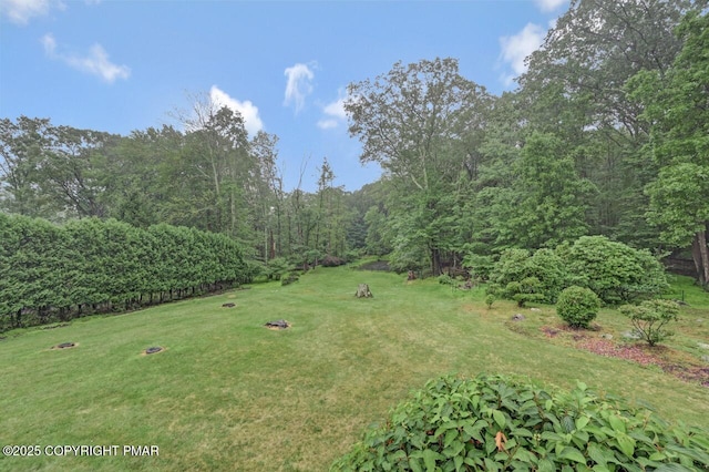 274 Frantz Hill Rd, Scotrun, PA 18355 - photo 75