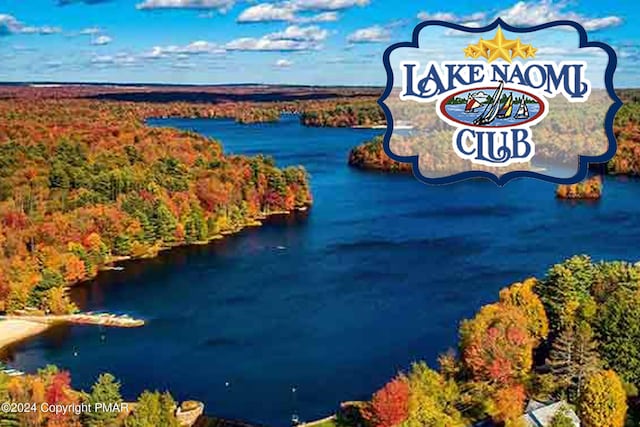 171 Flintlock Trl, Pocono Pines, PA 18350 - aerial view of a forest and a large body of water