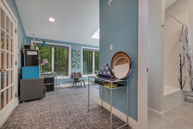171 Flintlock Trl, Pocono Pines, PA 18350 - interior space with a skylight, baseboard heating, baseboards, and carpet