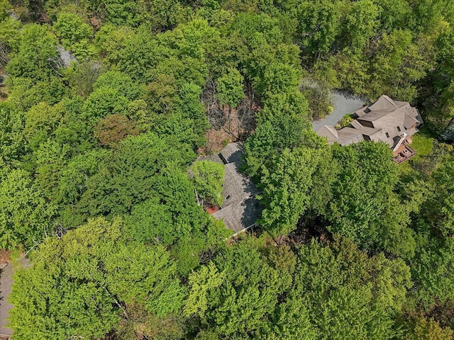 171 Flintlock Trl, Pocono Pines, PA 18350 - bird's eye view of a forest