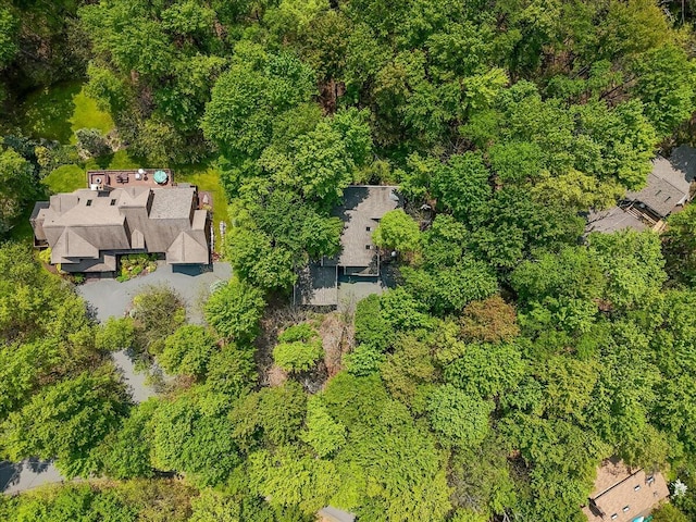 171 Flintlock Trl, Pocono Pines, PA 18350 - aerial view