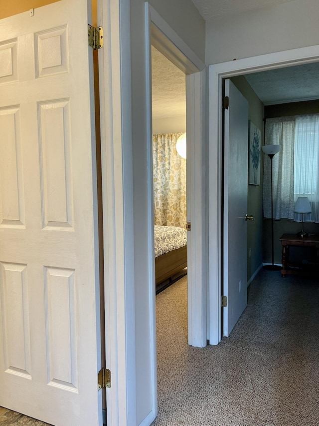 5144 Hounds Ear Rd, Tobyhanna, PA 18466 - hall with carpet flooring