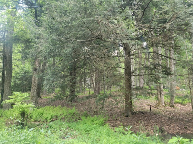 46 Onoco Dr, Pocono Lake, PA 18347