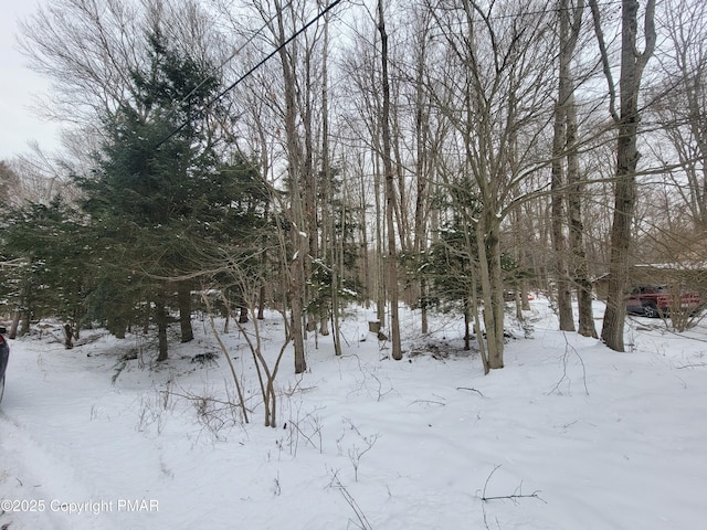 46 Onoco Dr, Pocono Lake, PA 18347