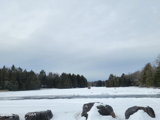 46 Onoco Dr, Pocono Lake, PA 18347