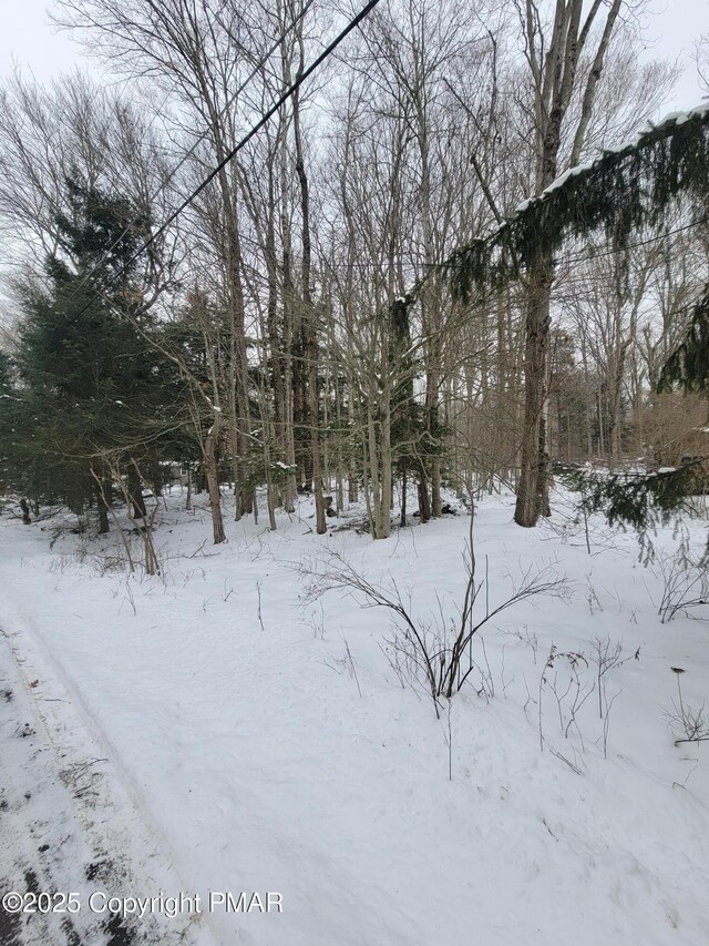46 Onoco Dr, Pocono Lake, PA 18347