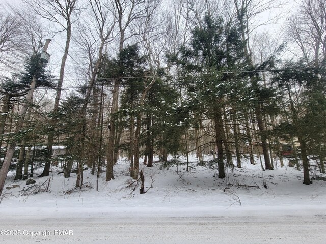 Listing photo 3 for 46 Onoco Dr, Pocono Lake PA 18347