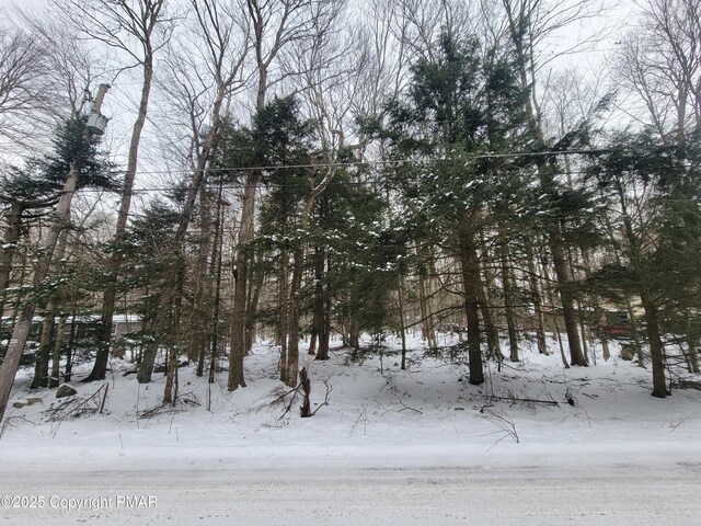 46 Onoco Dr, Pocono Lake, PA 18347