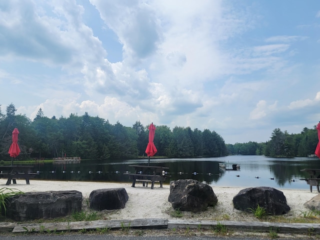 46 Onoco Dr, Pocono Lake, PA 18347