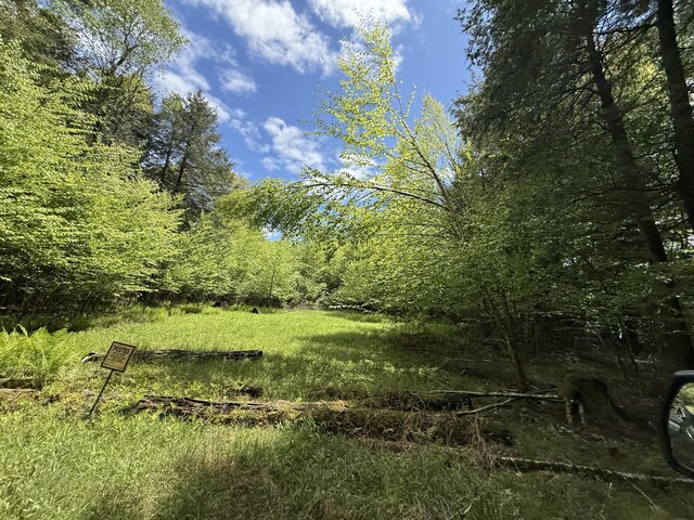 Listing photo 38 - caption unavailable
