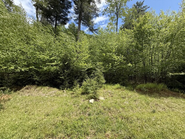Listing photo 45 - caption unavailable