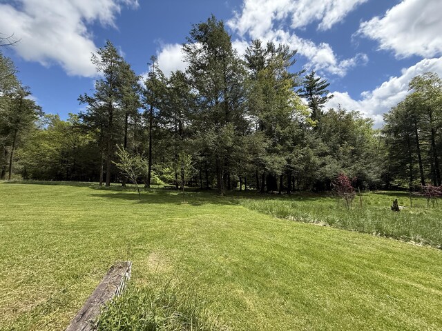 Listing photo 59 - caption unavailable