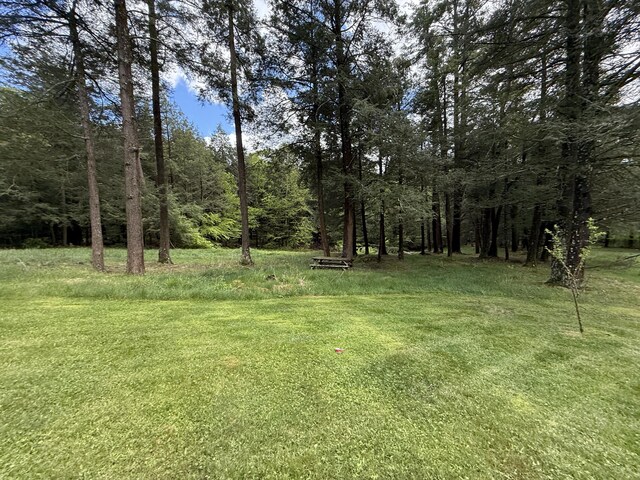 Listing photo 65 - caption unavailable