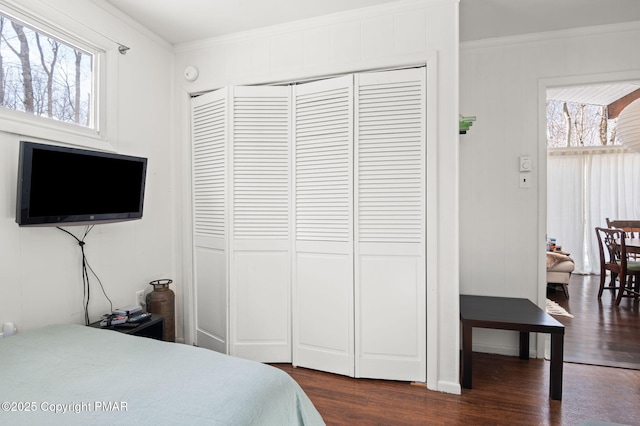 bedroom with dark wood-style floors, multiple windows, and crown molding